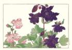 40 photo40_small.jpg